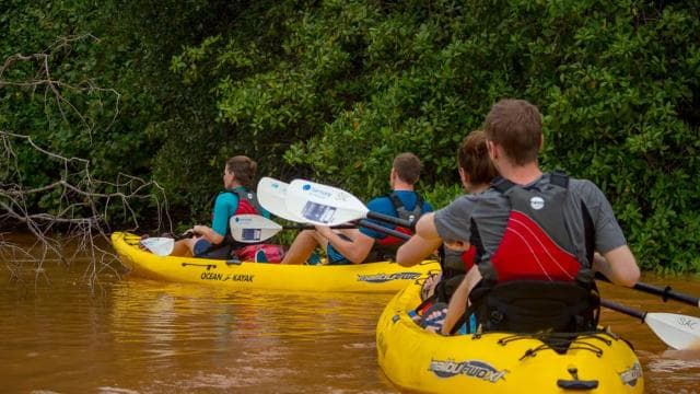 Tortuguero: Three Days & Two Nights All Included Tortuguero - Photo 2 (Gallery view)