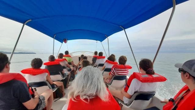 Uvita: Whale & Dolphin Watching Boat Trip w/ Drinks & Snacks - Dominican Republic