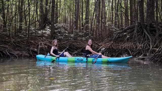 Quepos: Tur cu caiacul în mangrove, lângă Parcul Manuel Antonio - Photo 3 (Gallery view)
