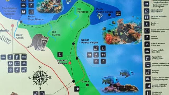 Snorkeling +Guided Hike at Cahuita National Park - Dominican Republic
