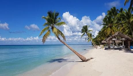 Saona Island Day Trip + Lobsters Included - Photo 3 (Gallery view)