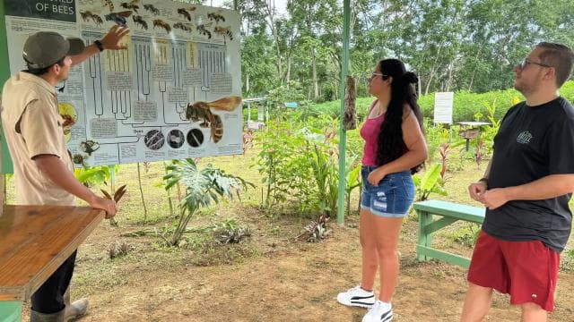 La Fortuna: Arenal Bee Garden Tour - Dominican Republic