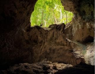 2в1: Национальный парк Лос-Айтисес + Водопад Янигуа-СПА - Photo 2 (Gallery view)