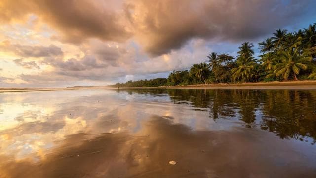 Marino Ballena National Park: Whale Watching In Uvita - Photo 5 (Gallery view)