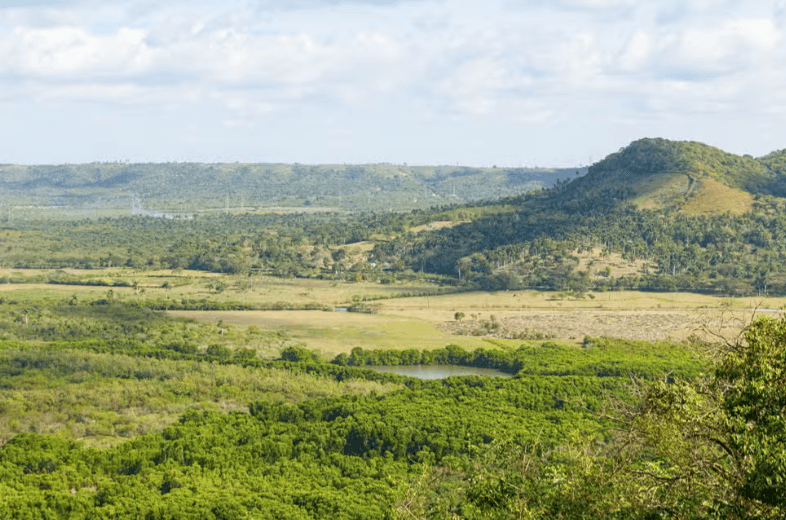 Yumuri Valley Jeep Tour - Photo 3 (Gallery view)