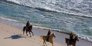 Puerto Plata: 2-Hour Horseback Ride on the Beach - Dominican Republic