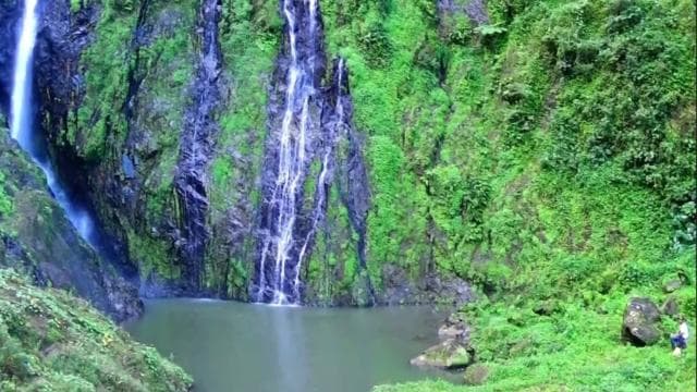 Punta Cana: Salto La Jalda & Montana redonda - Photo 3 (Gallery view)