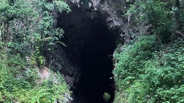 Puerto Rico: Tanama River Tubing & Cave Adventure in Arecibo - Dominican Republic