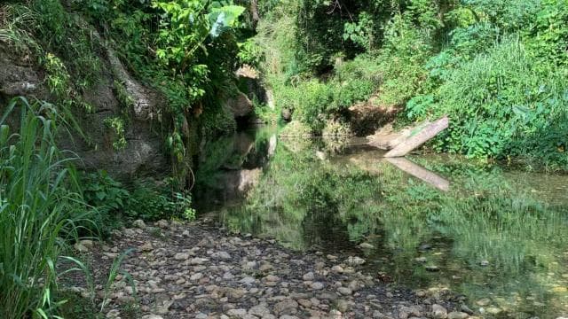 PUERTO RICO: Custom Hiking Tours with Transportation!! - Dominican Republic