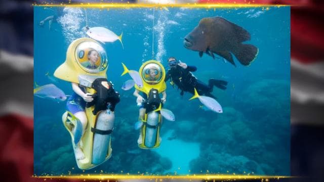 Punta Cana: Scubadoo Explore The Ocean - Photo 5 (Gallery view)
