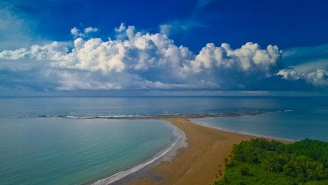 Uvita: Marino Ballena National Park Private Guided Walk Tour - Photo 5 (Gallery view)
