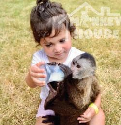 Monkey House VIP – Your Exclusive Punta Cana Experience - Photo 4 (Gallery view)