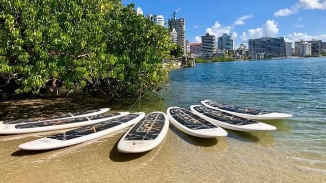 Condado: Paddleboard Rental - Photo 3 (Gallery view)