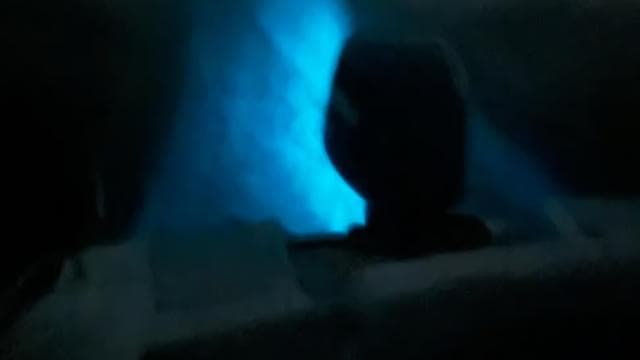 La Parguera: Bioluminescent Bay Boat Tour - Dominican Republic