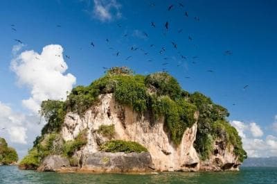 Private: Los Haitises & Cayo Levantado from Samana - Photo 3 (Gallery view)