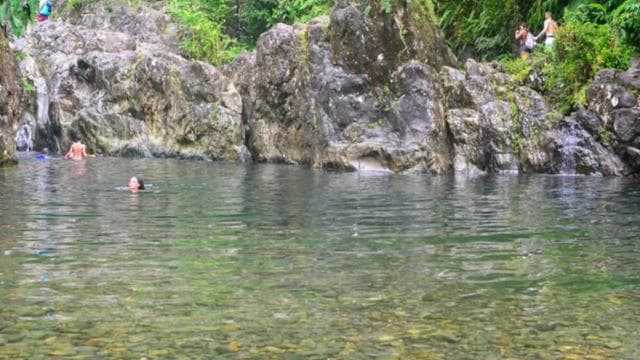 Vivid Day Tour in El Yunque Rain Forest with Transportation - Dominican Republic