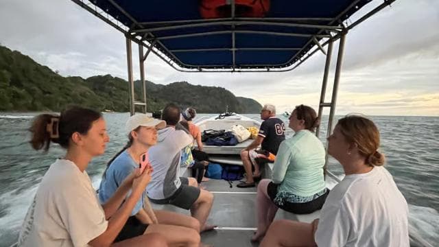 From Playa Pochote: Tortuga Island Private Tour - Photo 2 (Gallery view)
