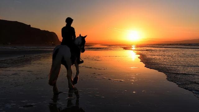 Tamarindo : balade à cheval jusqu'à la plage de Tamarindo - Guanacaste, CR - Photo 5 (Gallery view)