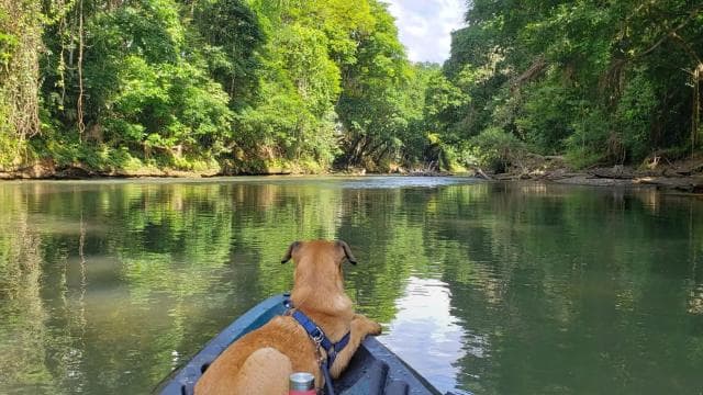 La Fortuna: *TOP* Wildlife Safari Float Experience by Kayak - Photo 2 (Gallery view)