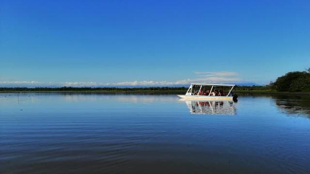 Caño Negro: Wildtier-Entdeckungstour - Photo 4 (Gallery view)