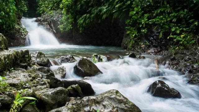 Manuel Antonio: Rainmaker Park Bridge & Waterfall Tour - Photo 3 (Gallery view)
