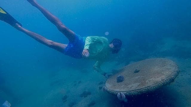 San Juan: small group guided snorkeling excursion - Dominican Republic