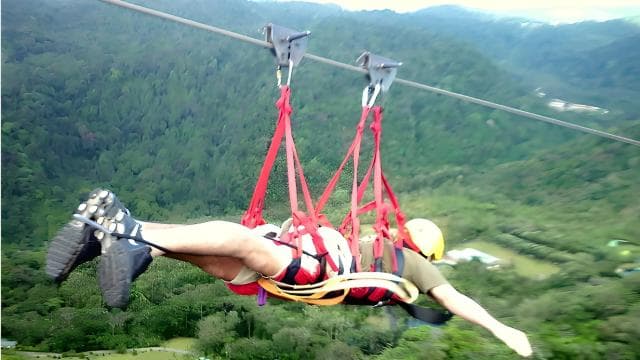 CostaRica: Cloud Forest Canopy Tour w/TarzanSwing & Superman - Dominican Republic