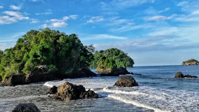 San Jose Costa Rica: Manuel Antonio National Park Tour - Photo 3 (Gallery view)