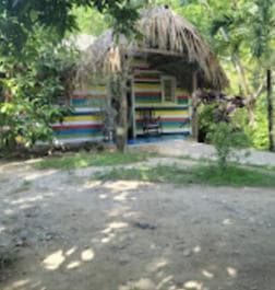 Puerto Plata: Monkeyland Tour - Photo 4 (Gallery view)