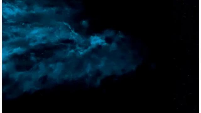Paquera: Bioluminescent Kayak Tour Costa Rica - Photo 2 (Gallery view)