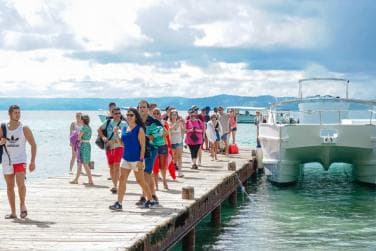 Soti nan Bayahibe: Samanà Whale Watching ak Bacardi Island Tour - Photo 5 (Gallery view)