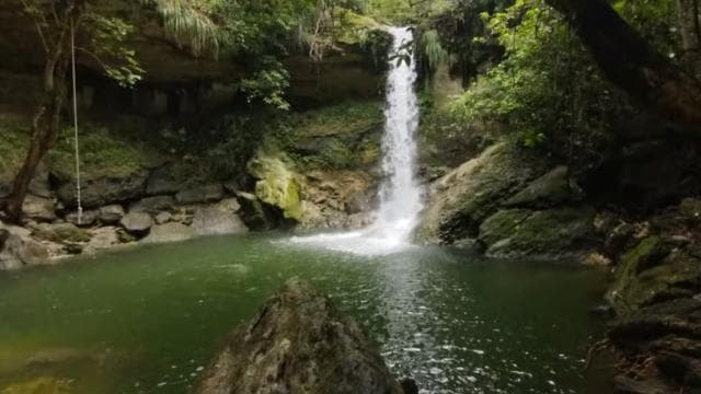 Puerto Rico: Gozalandia River Hiking and Waterfall Tour - Photo 2 (Gallery view)