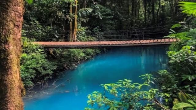 La Fortuna: Rio Celeste, Sloths, Coffee & Chocolate Tour - Photo 3 (Gallery view)