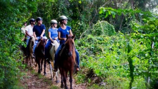 Scenic Horseback Riding Experience - Dominican Republic
