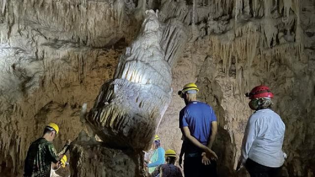 San Juan: Camuy River Canyon and Cave Tour with Pickup - Photo 5 (Gallery view)