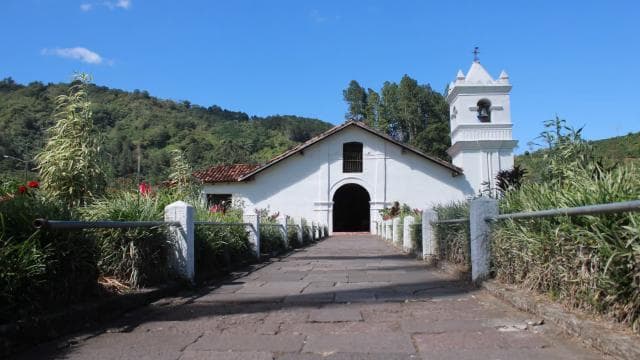 From San Jose: Orosi Valley & Lankester Garden Day Tour - Photo 3 (Gallery view)