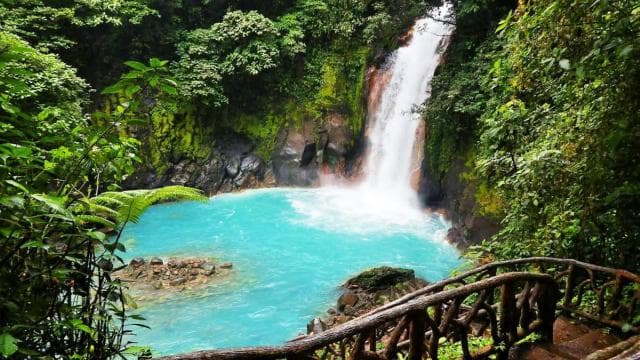 La Fortuna: Rio Celeste Full Day Tour - Photo 2 (Gallery view)