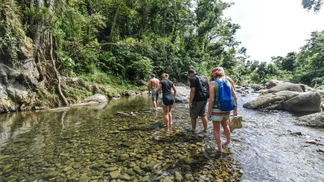 From San Juan: El Yunque Rainforest & Bio Bay Kayak Combo - Dominican Republic