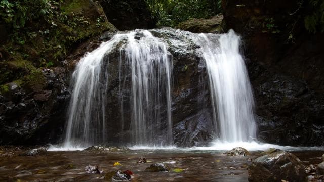 Playa Jaco: experiencia guiada de 10 cascadas escondidas - Photo 3 (Gallery view)