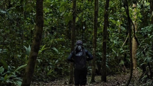 Overnight Sirena & San Pedrillo, Corcovado National Park - Photo 3 (Gallery view)
