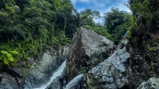 San Juan: El Yunque Tour Water Slide, Rope Swing & Pickup - Photo 3 (Gallery view)