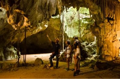 Punta Cana: Blue Hole and Scape Park Cap Cana Entry Ticket - Photo 2 (Gallery view)