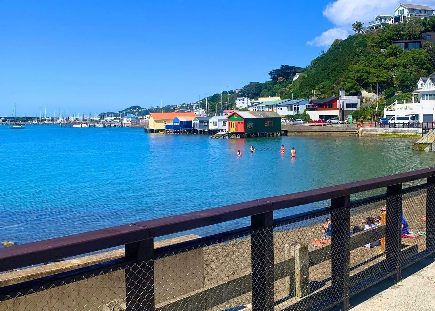 Wellington Electric Bike Rental - Photo 5 (Gallery view)