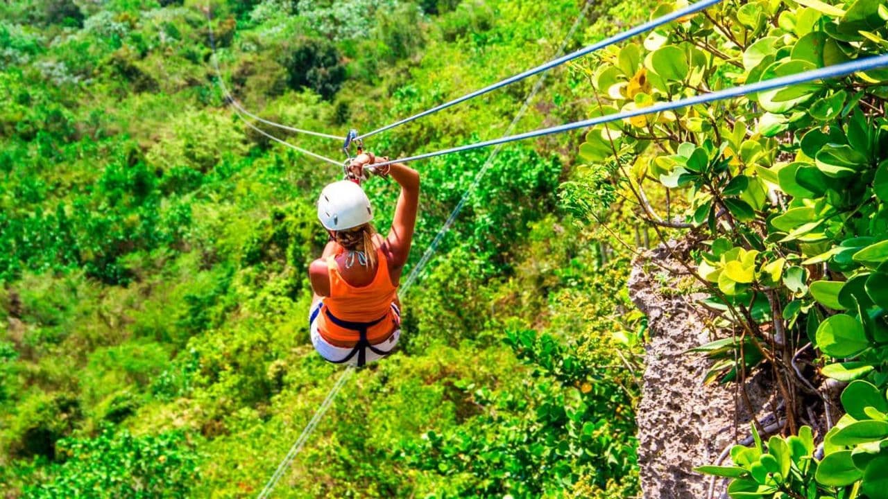 Las Terrenas : Adrenaline Zipline Adventure Tour in Samana - Photo 3 (Gallery view)