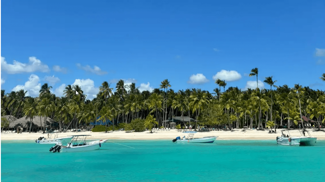 Punta Cana: excursión a la isla Saona en catamarán con almuerzo - Photo 3 (Gallery view)