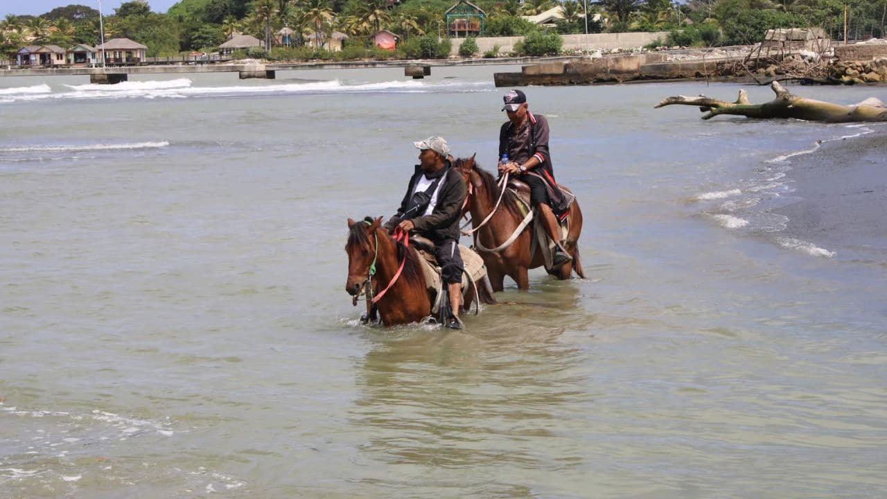 Reiten am Strand und in der Natur (Kopie) - Photo 5 (Gallery view)