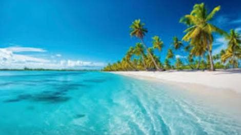 Punta Cana: Catalina Island and Snorkel For Small Group - Photo 2 (Gallery view)