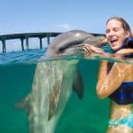 Punta Cana: Dolphin Experience in the Sea - Photo 3 (Gallery view)