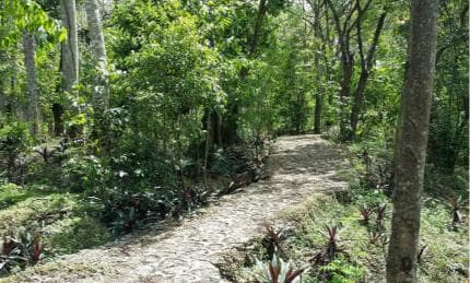 Santo Domingo: Natural Treasures of the City - Photo 4 (Gallery view)