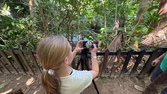 Rio Celeste Waterfall: Rain Forest Hike & Sloth Observation - Photo 2 (Gallery view)